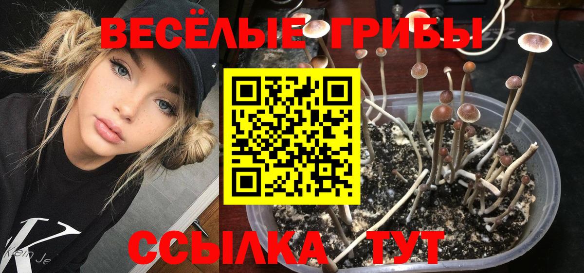Феодосия  Галлюциногенные грибы мухоморы  купить наркотики цена  Вход с VPN 