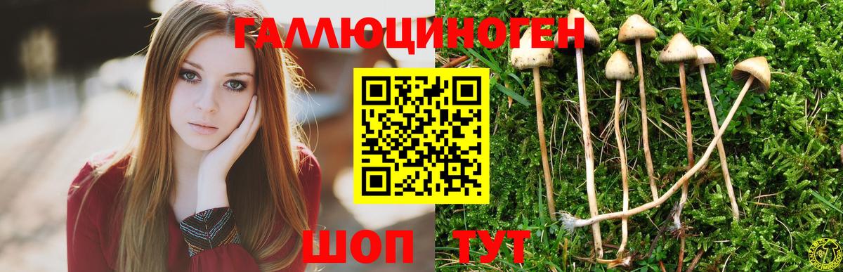 Галлюциногенные грибы мицелий Феодосия